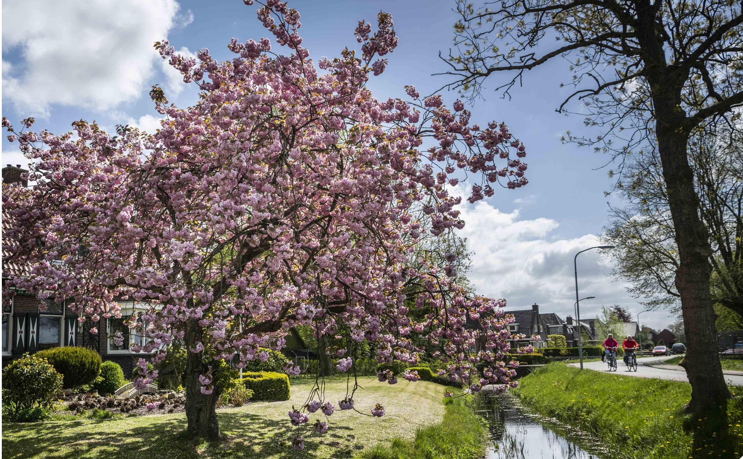 GIS-inzet bij afhandeling gevolgen aardgaswinning Groningen